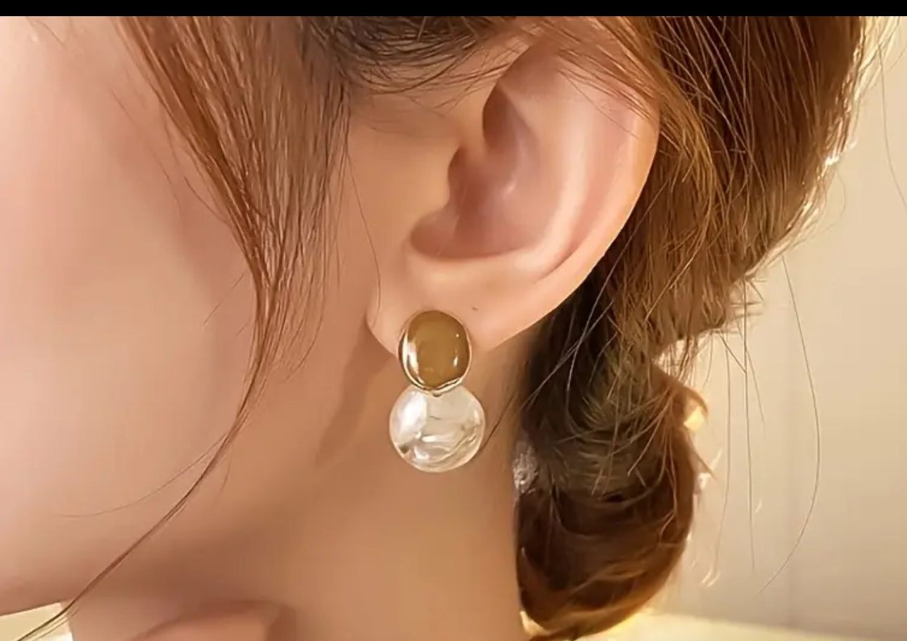 Elegant Brown Drop & Dangle Stainless Steel Post Earrings